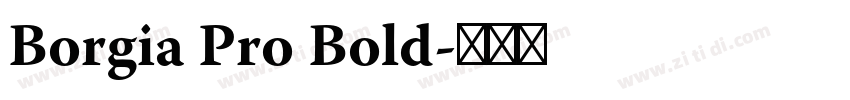 Borgia Pro Bold字体转换